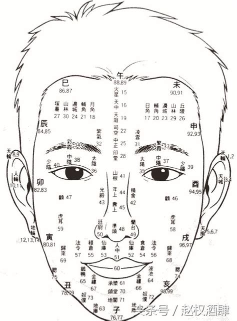 面相 年紀|【面相年齡圖】暢視你的晚年：歲月在面相上的謎團，流年圖揭。